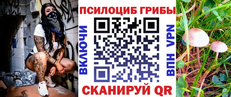 мега вход  Фатеж  Галлюциногенные грибы MAGIC MUSHROOMS 
